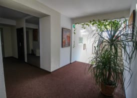 Hotel Razvan 3