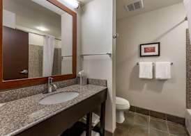 Comfort Suites Perrysburg - Toledo South 4