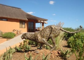 Babson House @ Cheetah Conservation Fund 4