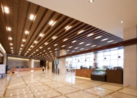 Delpino 2