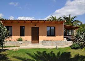 Palm Village 3