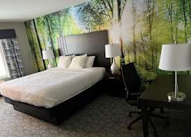 Casco Bay Inn 4
