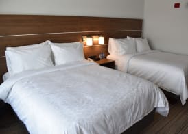 Holiday Inn Express & Suites BOSTON SOUTH - RANDOLPH by IHG 4