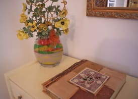 La Mimosa 2