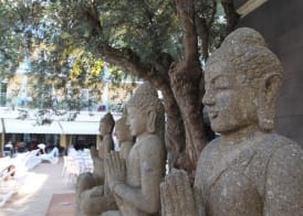 Hotel la Palmera & Spa 3