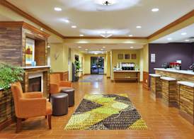 Hampton Inn Commerce Novi 2