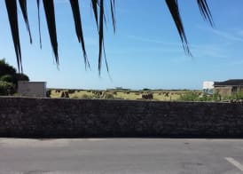 Simerock Guest House 4