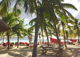 Blue Bay Beach Villas 4