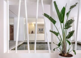 TUI BLUE Palm Beach Hammamet - All inclusive 2
