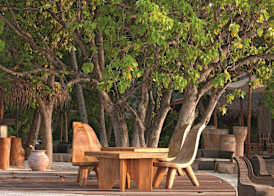 Constance Moofushi 5