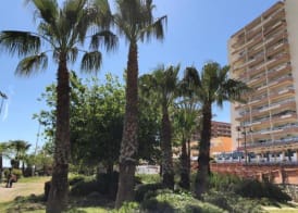 JSM Apartamentos 4