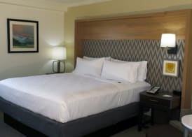 Holiday Inn BINGHAMTON DOWNTOWN by IHG 4