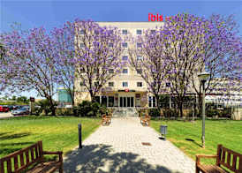 Ibis Murcia 4