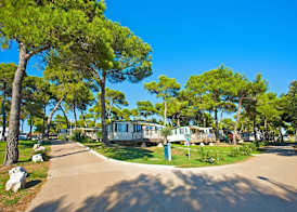 Arena Indije Mobile Homes 4
