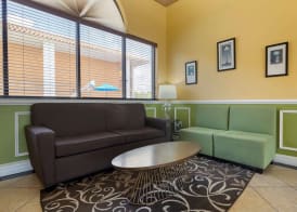 Quality Inn & Suites Mt Dora North 4