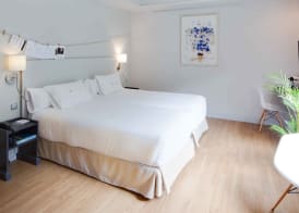 Hotel Rio Bidasoa 5