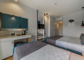 Tema 242 Hotel 2