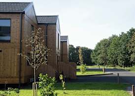 The Mole Resort - Lodges 2