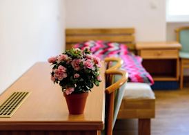 Pension und Monteurzimmer VICTORIA 3