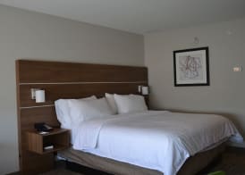 Holiday Inn Express & Suites GOODLETTSVILLE N - NASHVILLE by IHG 4