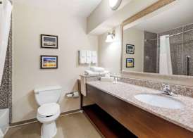 Comfort Suites Port Allen - Baton Rouge 5