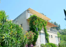 Apartments Martiva 2
