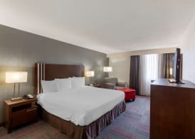 Best Western Plus Toronto Airport Hotel 5