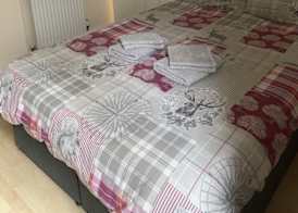 Acer Lodge Guest House 5
