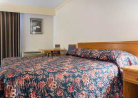 Econo Lodge By the Falls 5