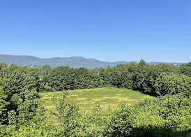 North Conway Mountain Inn 5