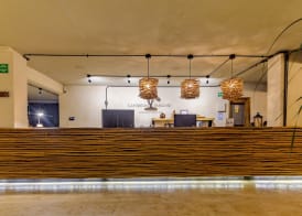 Caribbean Paradise Hotel & Spa - 5th Avenue 4