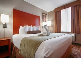 Best Western JFK Airport Hotel 5