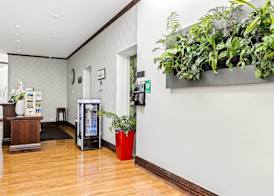 Hotel Elms Christchurch, an Ascend Collection Hotel 5