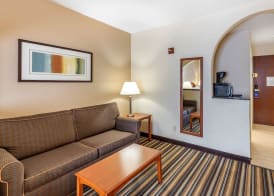 Comfort Suites Chesapeake - Norfolk 3