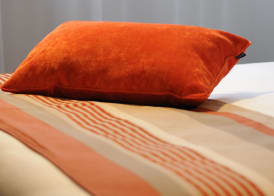 Best Western Plus Hôtel & Spa de Chassieu 4