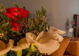 Gran Hotel Rural Cela 4