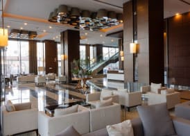 Anemon Grand Samsun Otel 3