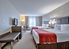 Comfort Inn & Suites South 3