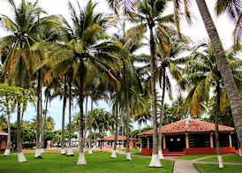 PACIFIC PARADISE 2