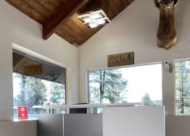 Motel In The Pines 3