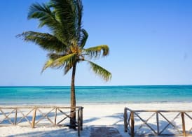 Hôtel Club Framissima Paje Palms Beach Resort Sup 2
