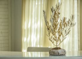 Adriani Hotel 5
