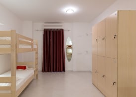 Hostel Free Bird 4