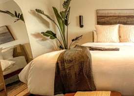 Terra Palm Springs 4