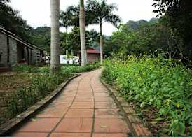 Viet Hai Lan Homestay 3