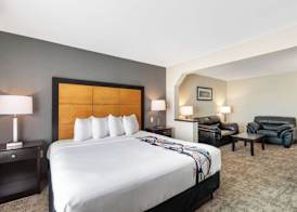 Best Western Inn & Suites - Midway Airport 5