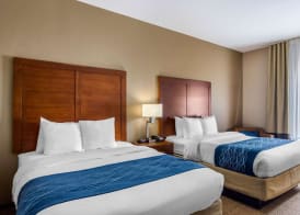 Comfort Inn South Chesterfield - Colonial Heights 5