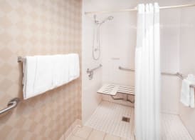 Holiday Inn & Suites CHICAGO-CAROL STREAM (WHEATON) by IHG 5