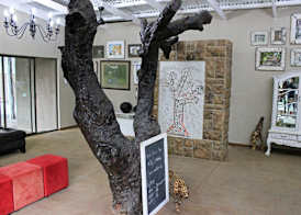 Emdoneni Lodge with Zululand Cat Conservation Project 4