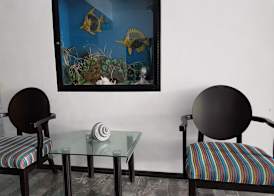 Salvia Cancun Aparts 2